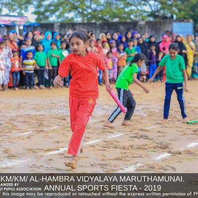 51339475 407261073353465 5807797714162810880 N Thumb