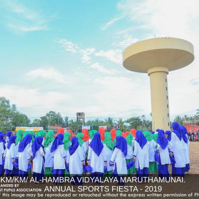 51392656 407264033353169 6431790813696491520 N Thumb