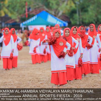 51541342 407262393353333 7574726708318699520 N