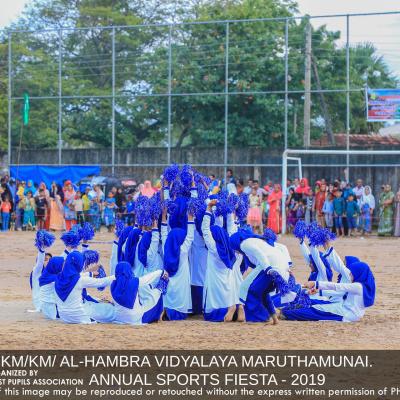 51584493 407268546686051 7847419735334453248 N Thumb